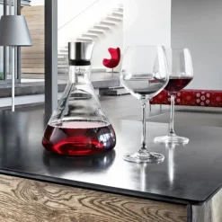 Best Blomus DELTA Wine Decanter with Aerator and Pourer