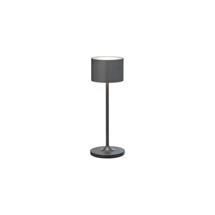 Fashion Blomus FAROL Mobile Rechargeable LED Mini Lamp - Metallic Finish