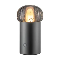 Discount Blomus IRIS Lamp Mobile Rechargeable LED