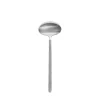 Fashion Blomus Stainless Steel Sauce Spoon - STELLA